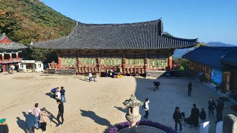 정모 대표 이미지