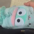 member face