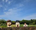 member face