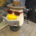 member face