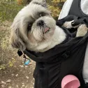 member face