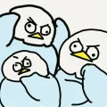 member face
