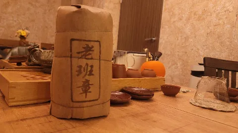 정모 대표 이미지