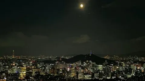 정모 대표 이미지