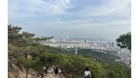 정모 대표 이미지