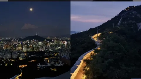 정모 대표 이미지