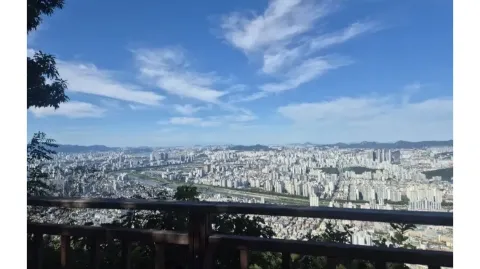 정모 대표 이미지