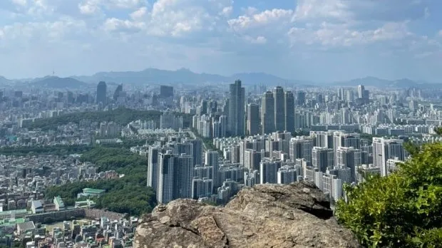 정모 대표 이미지