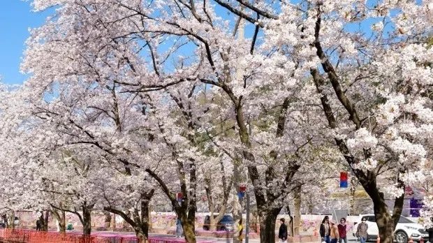 정모 대표 이미지