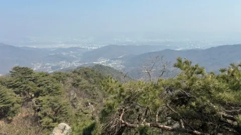 정모 대표 이미지