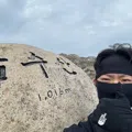 member face