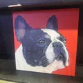 member face