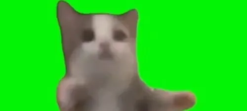 모임 이미지 1