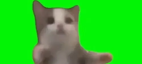 모임 대표 이미지