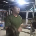 member face