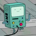 member face