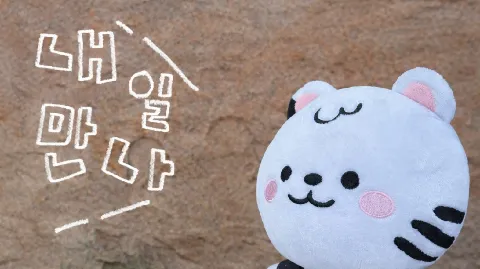 정모 대표 이미지