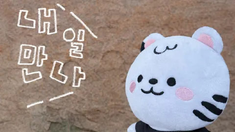 정모 대표 이미지