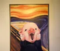 member face