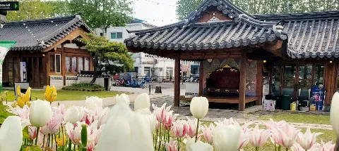 모임 대표 이미지
