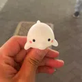 member face