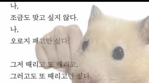 정모 대표 이미지