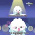member face