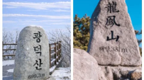 정모 대표 이미지