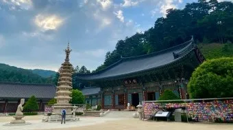 정모 대표 이미지