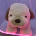 member face