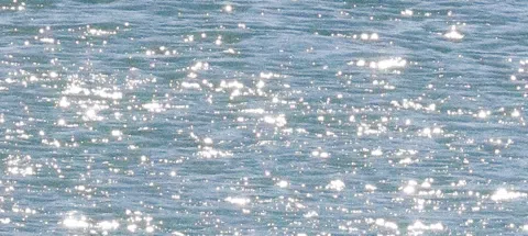 모임 대표 이미지