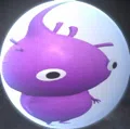 member face