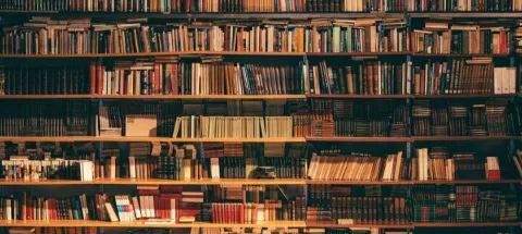 모임 대표 이미지