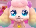 member face