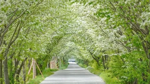 정모 대표 이미지