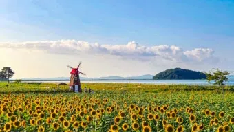 정모 대표 이미지
