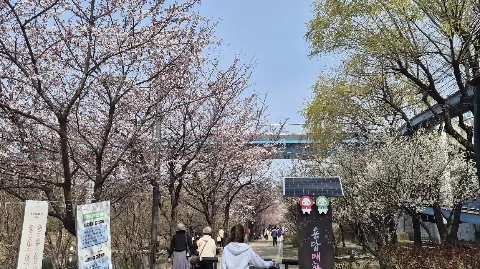정모 대표 이미지