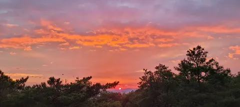 모임 대표 이미지