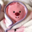 member face