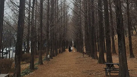 정모 대표 이미지