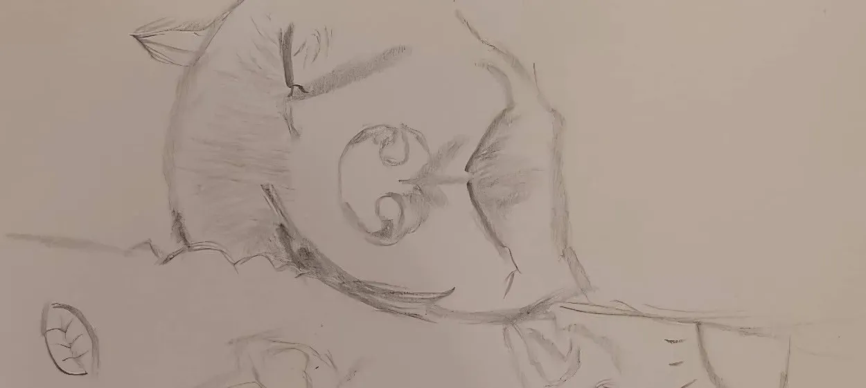모임 이미지 1