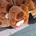 member face