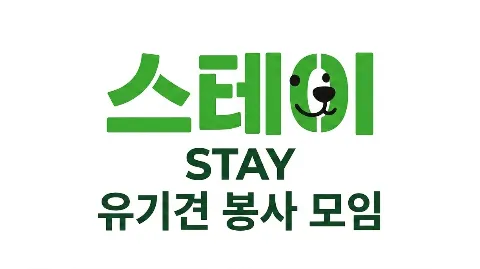 정모 대표 이미지