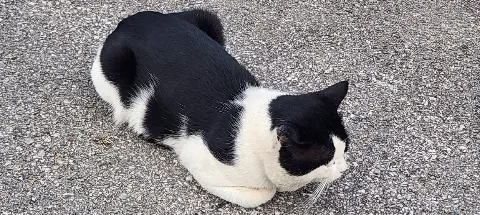 모임 대표 이미지
