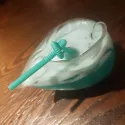 member face