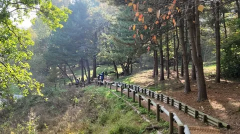 정모 대표 이미지