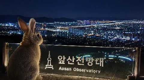 정모 대표 이미지