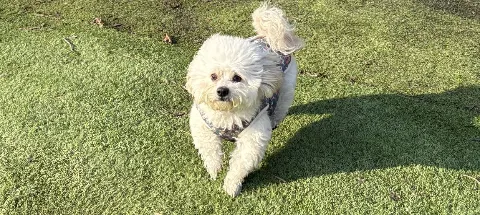 모임 대표 이미지