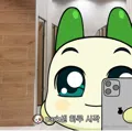 member face