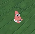 member face